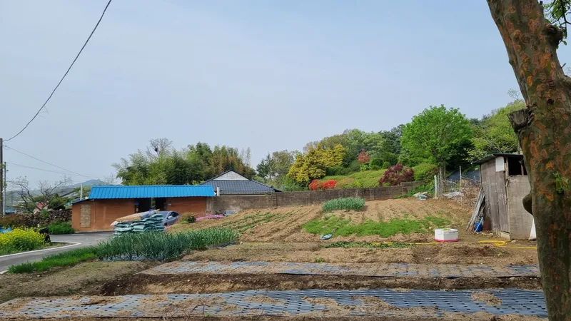 [충남 논산] 시골살이/돌담/한옥/독채/반려동물 34