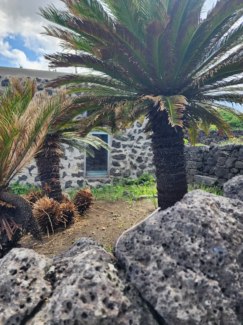 [Gujwa, Jeju] Jeju Rakhado / A House Loved by Artists 28