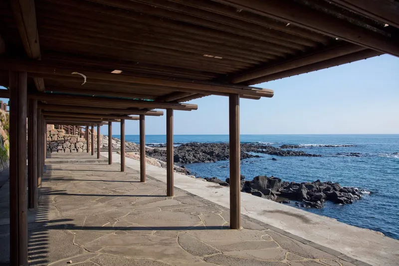 [Seongsan, Seogwipo][East Jeju] Penthouse Vibes / Private Ocean View / Elevator Available / Exclusive 3rd Floor 55