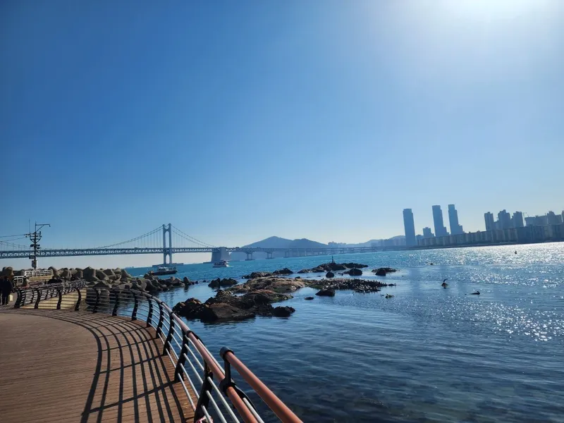 [Suyeong, Busan] #HalfOceanView #GwangalliRestaurants #MinrakWatersidePark #GwangandaegyoBridge 13
