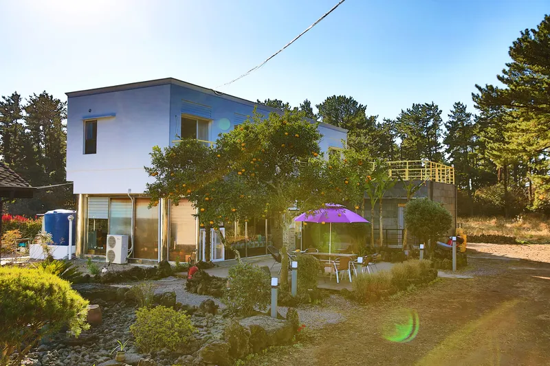 [Gujwa, Jeju] Jeju's Today, Everyday Begins with Birdsong, Nonoreta Lavender B 8