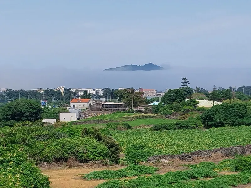[Hallim, Jeju] Ocean View Pension 105 with a view of Biyangdo Island 23