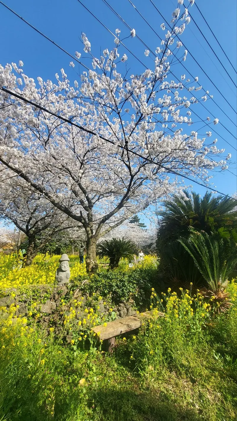 [Hallim, Jeju] Two-room duplex detached house 5 minutes by car from Hyeopjae Beach 48