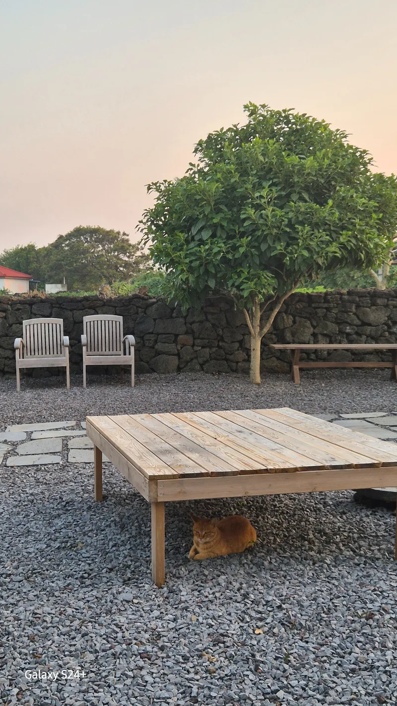 [Hangyeong, Jeju] A two-story detached house located in a village with a pretty stone wall, a 10-minute walk from the beach. 21