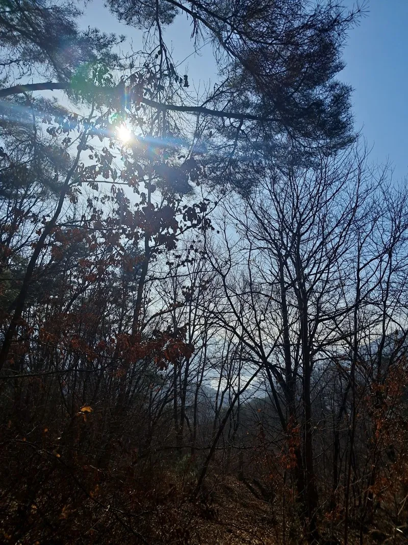 [경북 예천] 송월호 인근 한옥 독채 32