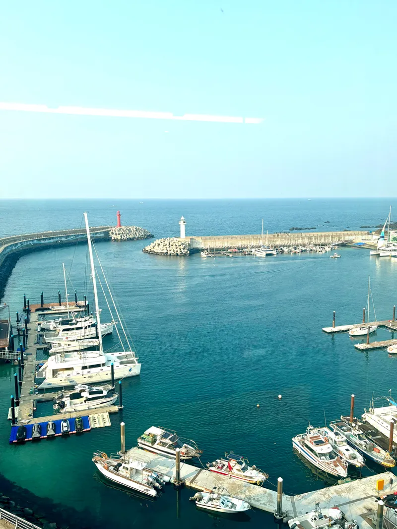 [제주 도두일동] 한조각의바다#고층오션뷰#감성숙소#풀옵션원룸 15