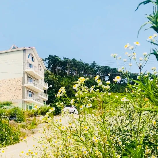 [Buan] Byeonsan Peninsula 17-pyeong Ocean View Residence A102 (Ondol)/Special Discount 9