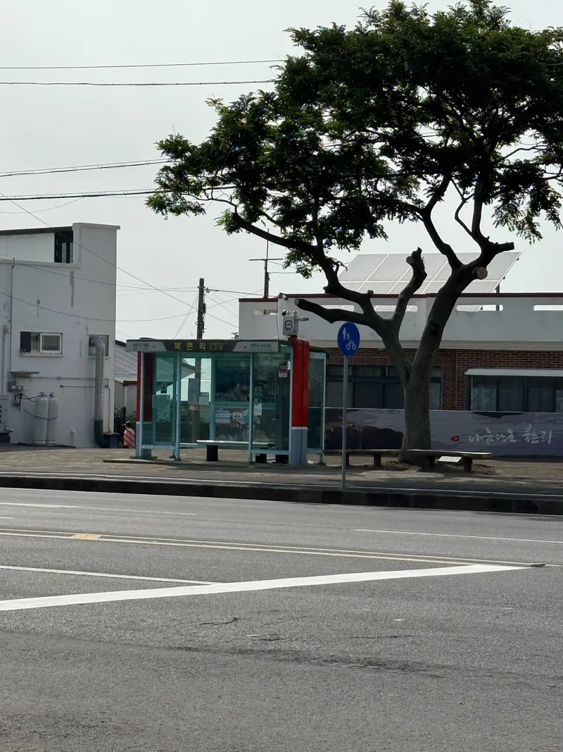 [Jocheon, Jeju] Detached house with a large yard 24