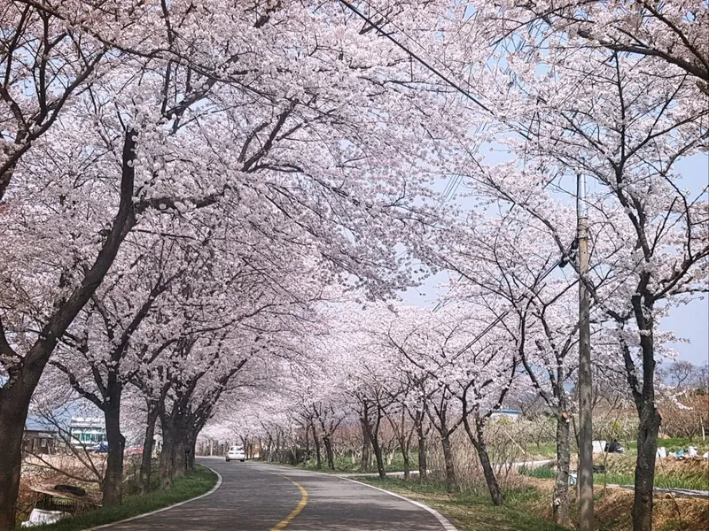 [전남 구례] 섬진강변  청정산골 황토구들방  반려동물가능 32