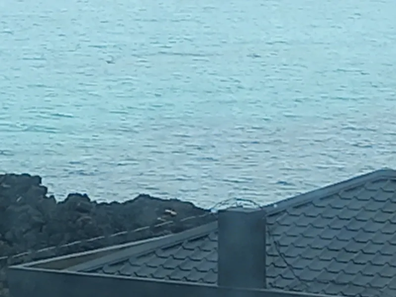 [Hallim, Jeju] Biyangdo/Ocean view Hyeopjae Beach Stay #103 #Pets allowed 7