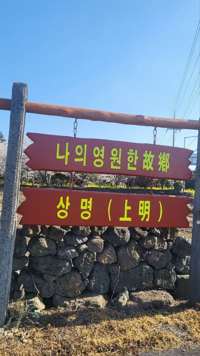 [Hallim, Jeju] Two-room duplex detached house 5 minutes by car from Hyeopjae Beach 52
