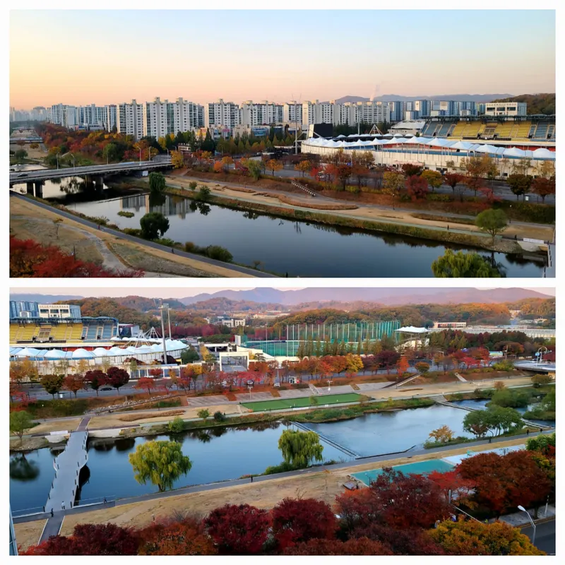 [경기 성남] 1-5인 분당 판교 야탑 탄천코앞 24