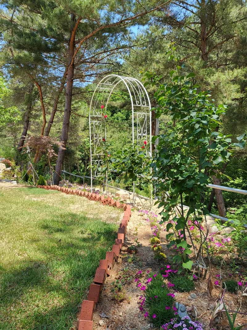 [Hwacheon] Nature-Living Experience Private Forest House Starlight Building #Valley 26