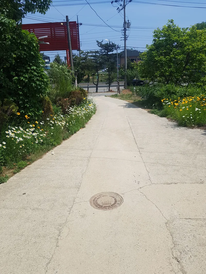 [강원 양양] 독채 (거실1+방1) 힐링,요양,해변,시골 살기,넓은 마당 11