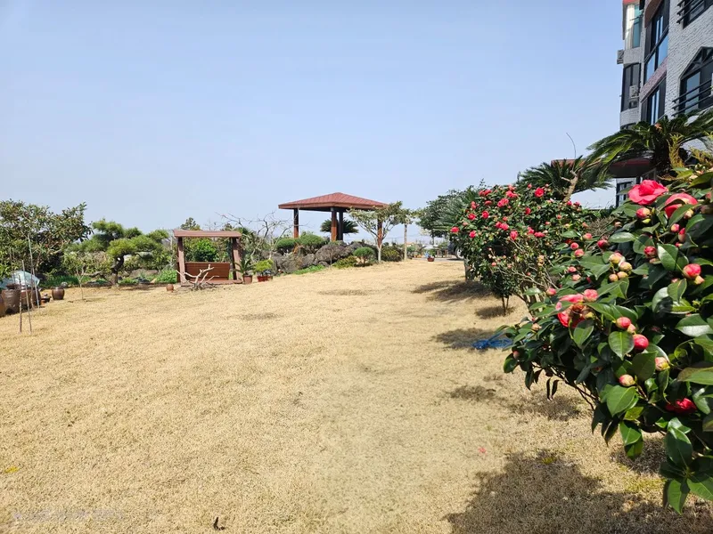 [제주 해안동][서쪽뻥뷰재방문많은집] 웰컴키즈/ 풀옵 / 노을뷰최고 22
