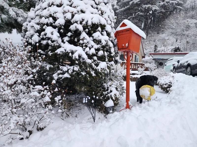 [Hoengseong] High-class three-room detached house in Chiaksan Bugok National Park #Pets allowed 19