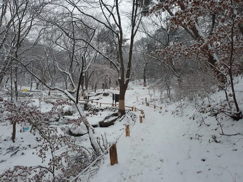[Jongno, Seoul] One-room apartment with a terrace overlooking Mt. Bukhan 36