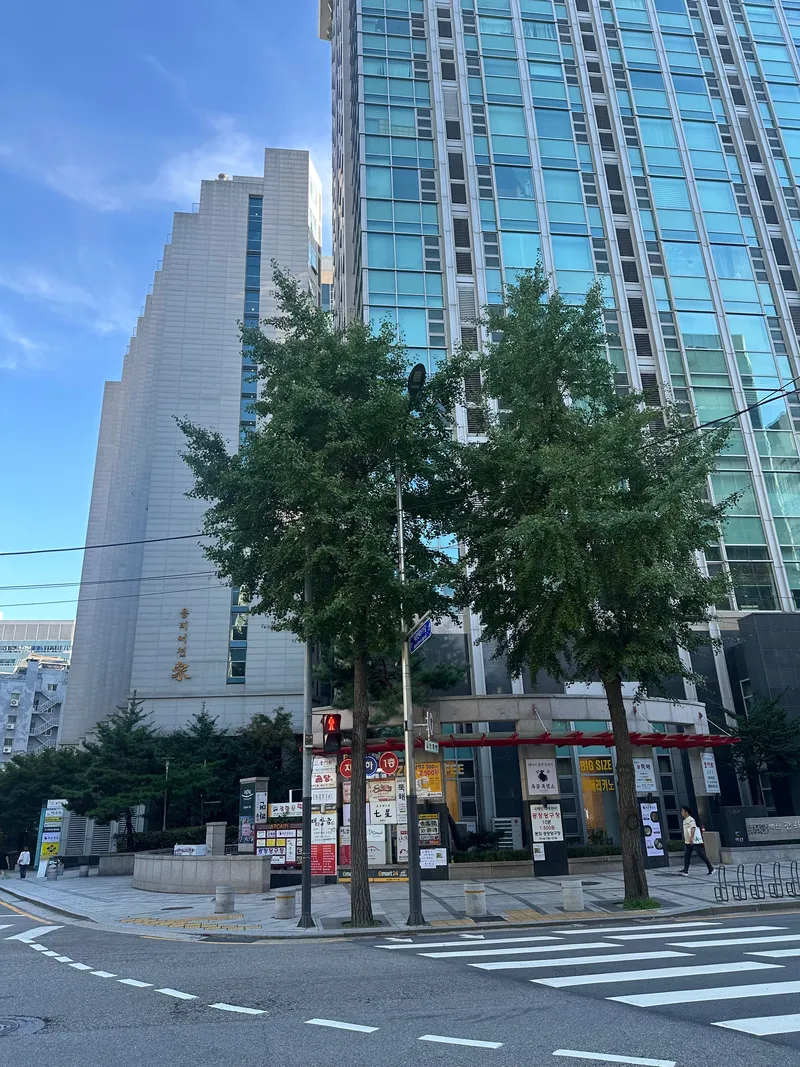 [서울 종로] 광화분 경복궁 3분 깔끔한 고층 시청 청계천 친절한 호스트 19