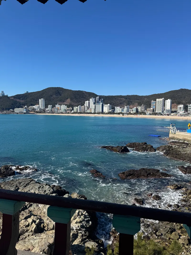 [부산 해운대] 달맞이길 오션뷰가 보이는 대형 평수 27