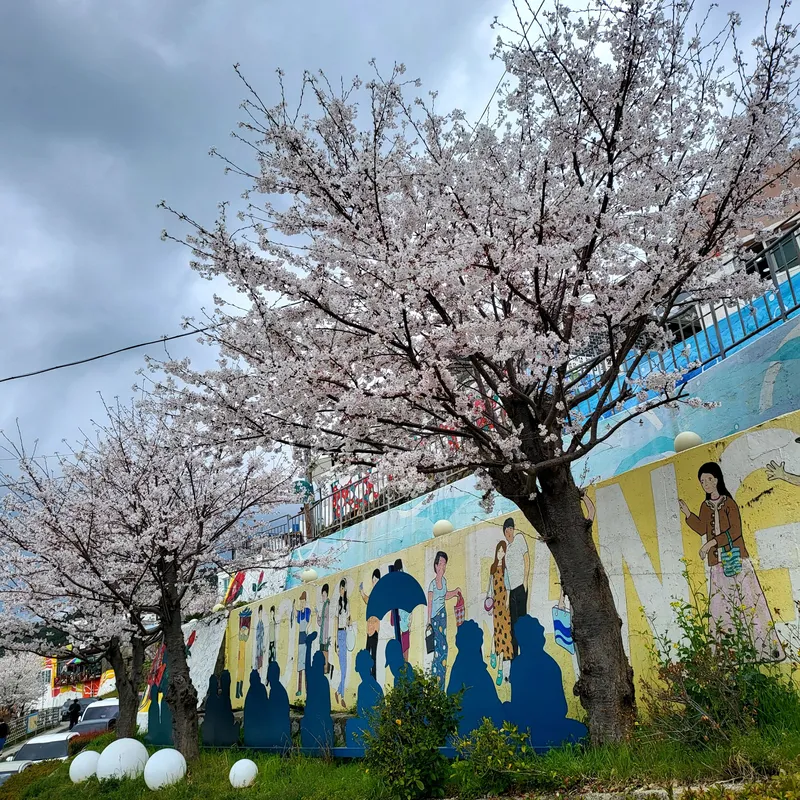 [Tongyeong] Dongpirang Sea View / Hotspot for Night View / Wing Photo Zone / Excellent Accessibility / Tourist Attraction 22