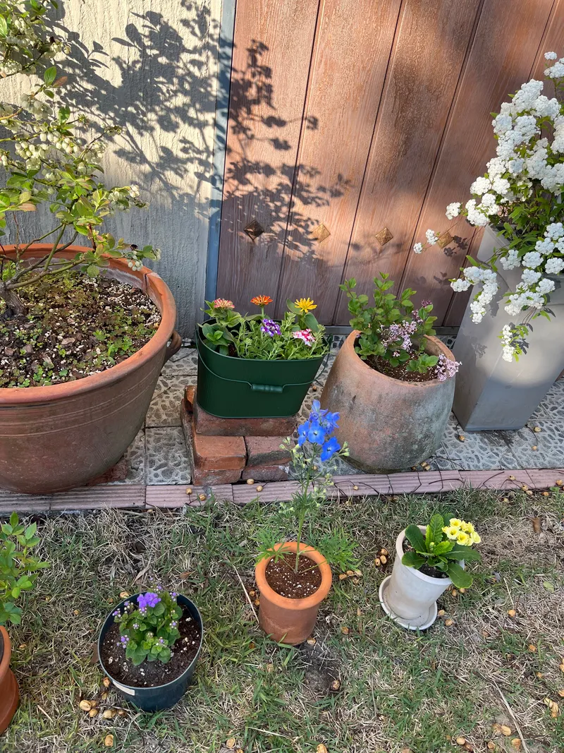 [Hallim, Jeju] 5-minute walk to Hyeopjae Beach, private house, dog-friendly, lawn yard, 28