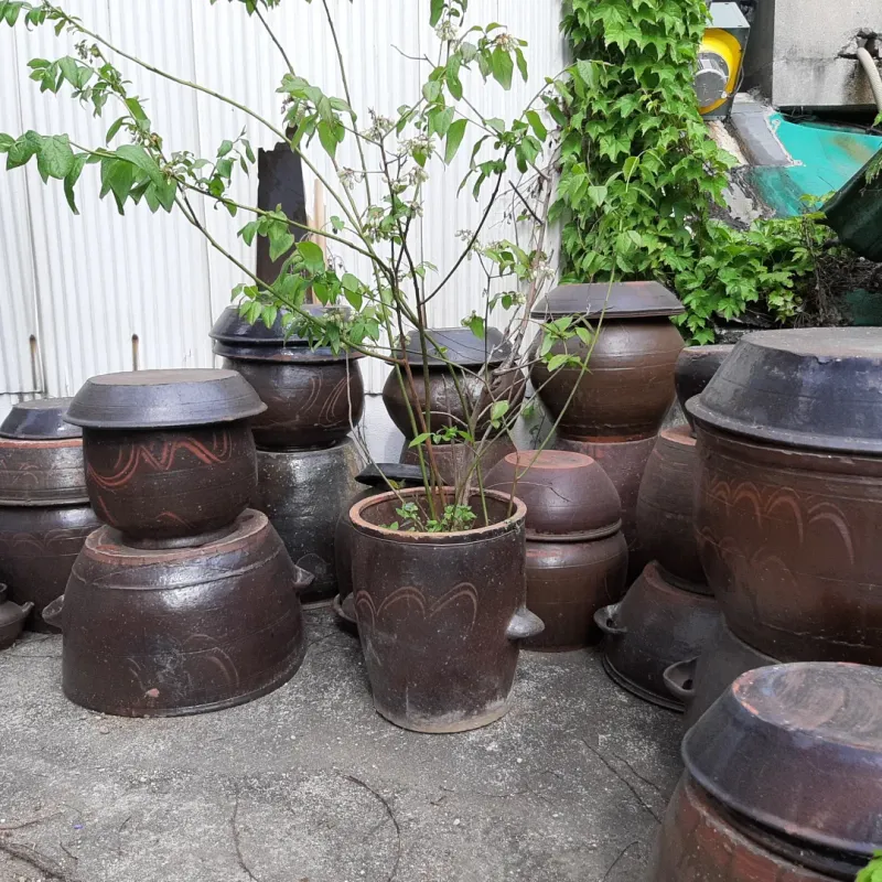 [Jeonju][Jeonju, Jeollabuk-do] 21