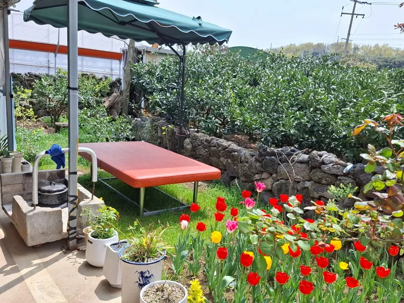 [Seongsan, Seogwipo][Jeju Seogwipo Seongsan-eup] Newly built detached house in the countryside, barbecue, country living, free parking 35