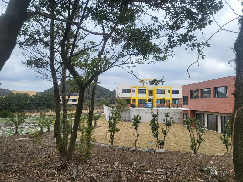 [제주 구좌] 조용한 힐링 한달살기 신축급 타운하우스 24평 텃밭 26