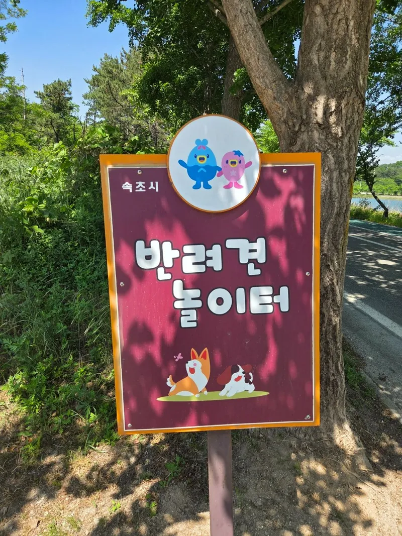 [Sokcho] Bori House #LargeDogsAllowed #LighthouseBeach #YeongrangLake #DogPlayground 30