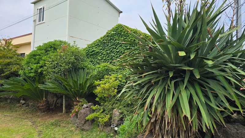 [Hangyeong, Jeju] Jeju Ozen, a sentimental private home on the west coast 20