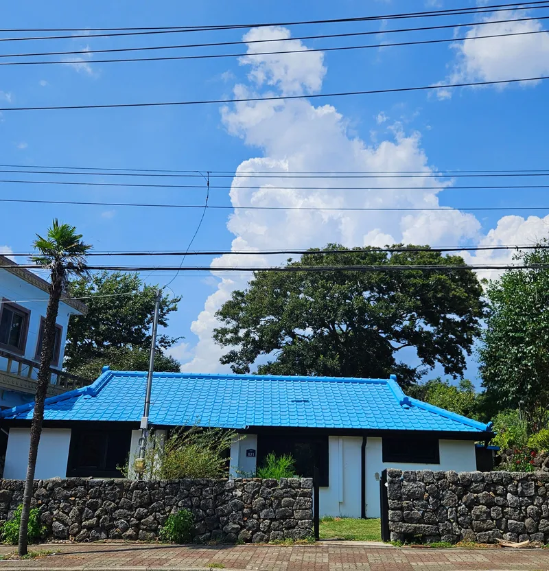 [Namwon, Seogwipo] Taeheung Jeju Original Gojae, detached house, front and back yards, dogs and cats allowed 15
