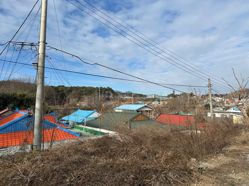 [강원 속초] 대포항 숲을 품은 집, 댕댕이와 전원생활 19