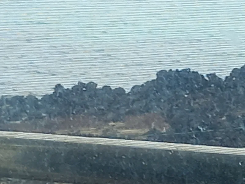 [Hallim, Jeju] Biyangdo/Ocean view Hyeopjae Beach Stay #301 #Pets allowed 11