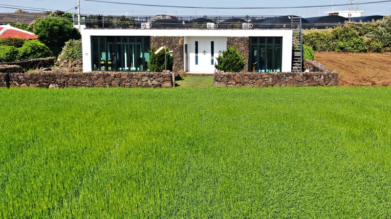 [Hangyeong, Jeju] Private guesthouse near Suwolbong Eongal Beach 16