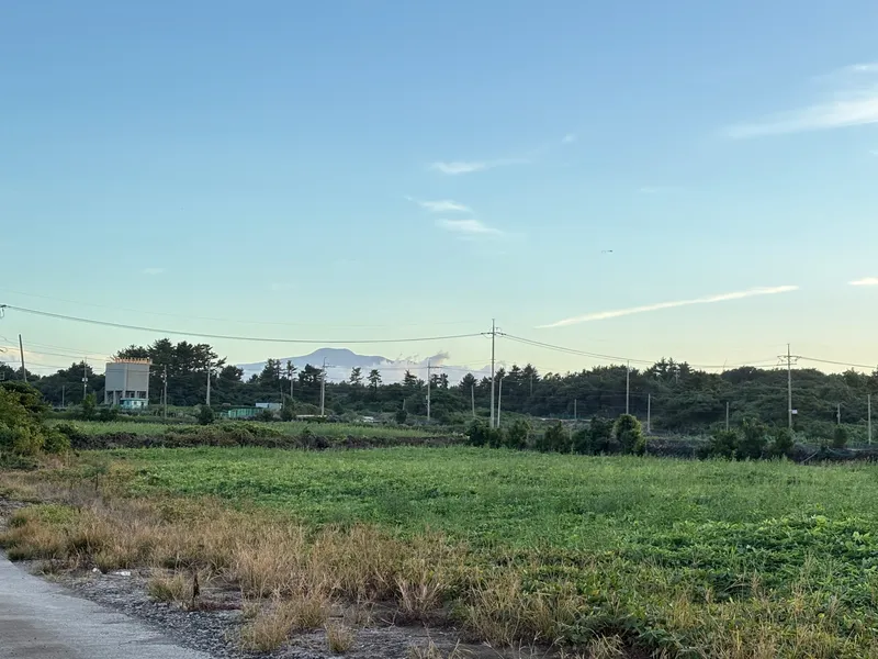 [Gujwa, Jeju] Duplex Separated One Room Field View #Far Sea View A 31