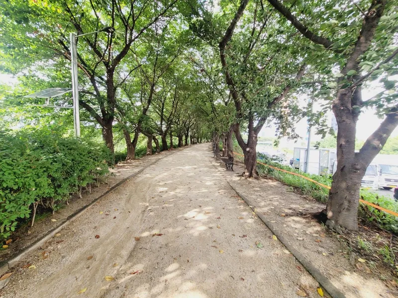[Yeongdeungpo, Seoul] 3-minute walk from Yangpyeong Station / City view near Yangcheon-gu & Omokgyo Station 17