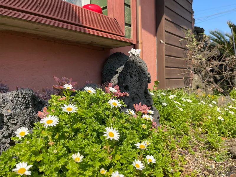 [Hangyeong, Jeju] Right in front of Panpo Port, a quiet and pretty traditional house, Doldamjip (Wonangchae) 33