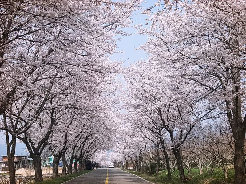[전남 구례] 섬진강변 청정산골 황토 구들방 반려동물가능 37