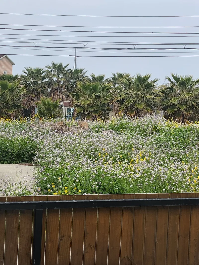 [Aewol, Jeju] Two-room with red roof yard #Independent house #Barbecue #Bulmung 30