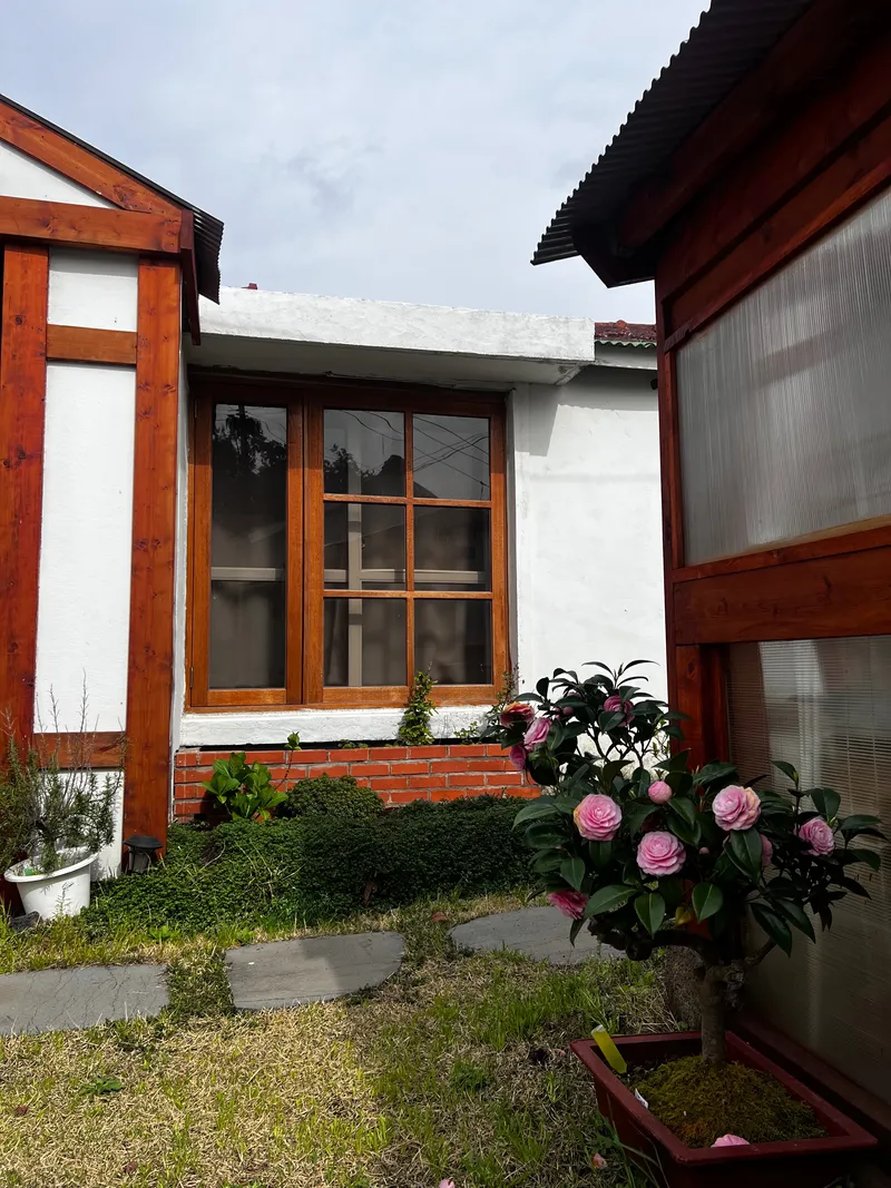 [Hallim, Jeju] Dog-friendly private house with a Jeju vibe (4 rooms, 6 people, BBQ) 25