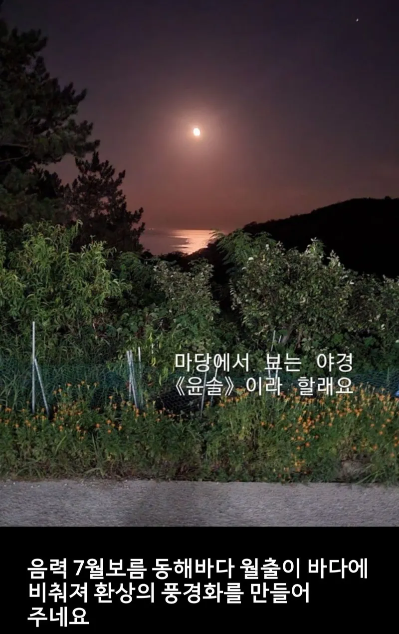 [Yeongdeok] 20-pyeong detached country house on a hill overlooking the East Sea (Building B) 7
