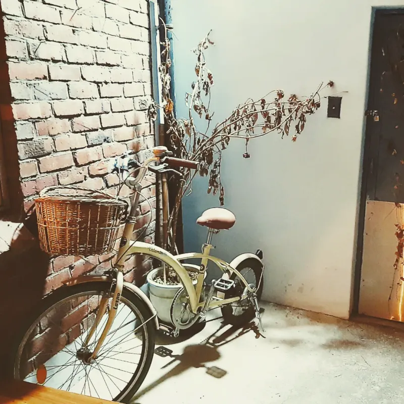 [Jeonju][Jeonju, Jeollabuk-do] 25
