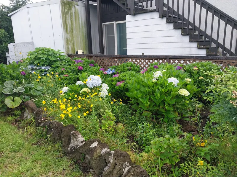 [Seongsan, Seogwipo] One room 103 in Seongil-ro, Seogwipo-si, with a beautiful garden 13