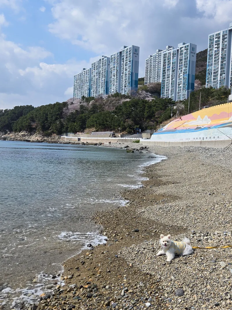 [부산 영도] 바닷가 1분 오션뷰 아파트 9