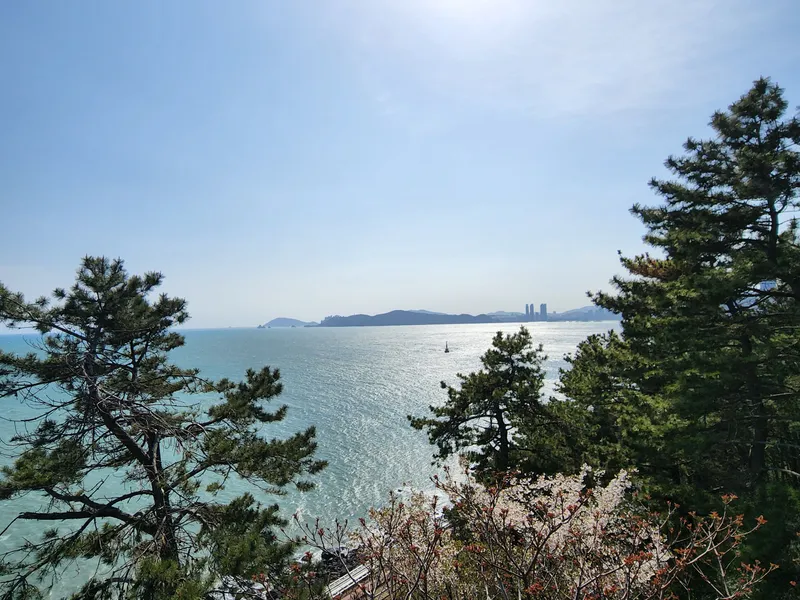 [부산 해운대] 달맞이 해돋이 명소 도보5분#놀이방#애견동반 가능 45