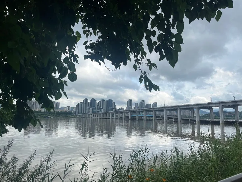 [서울 용산] 서울 용산구 게스트하우스 이태원(여성전용) 14