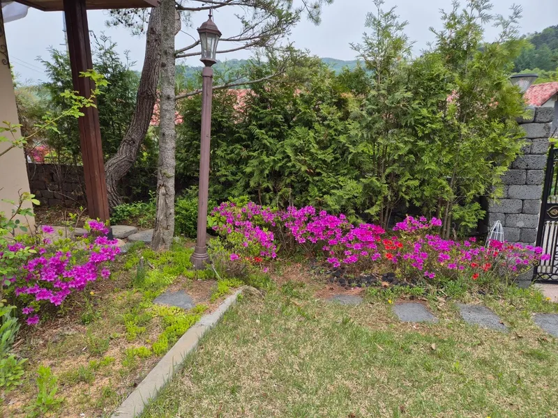 [경기 양평] 두물머리IC 10분 숲이 보이는 쓰리룸 독채 62