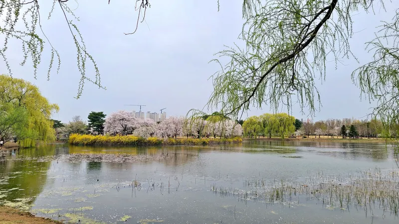 [경기 고양] 일산 호수공원뷰 숙소 #풀옵션 #정발산역 22