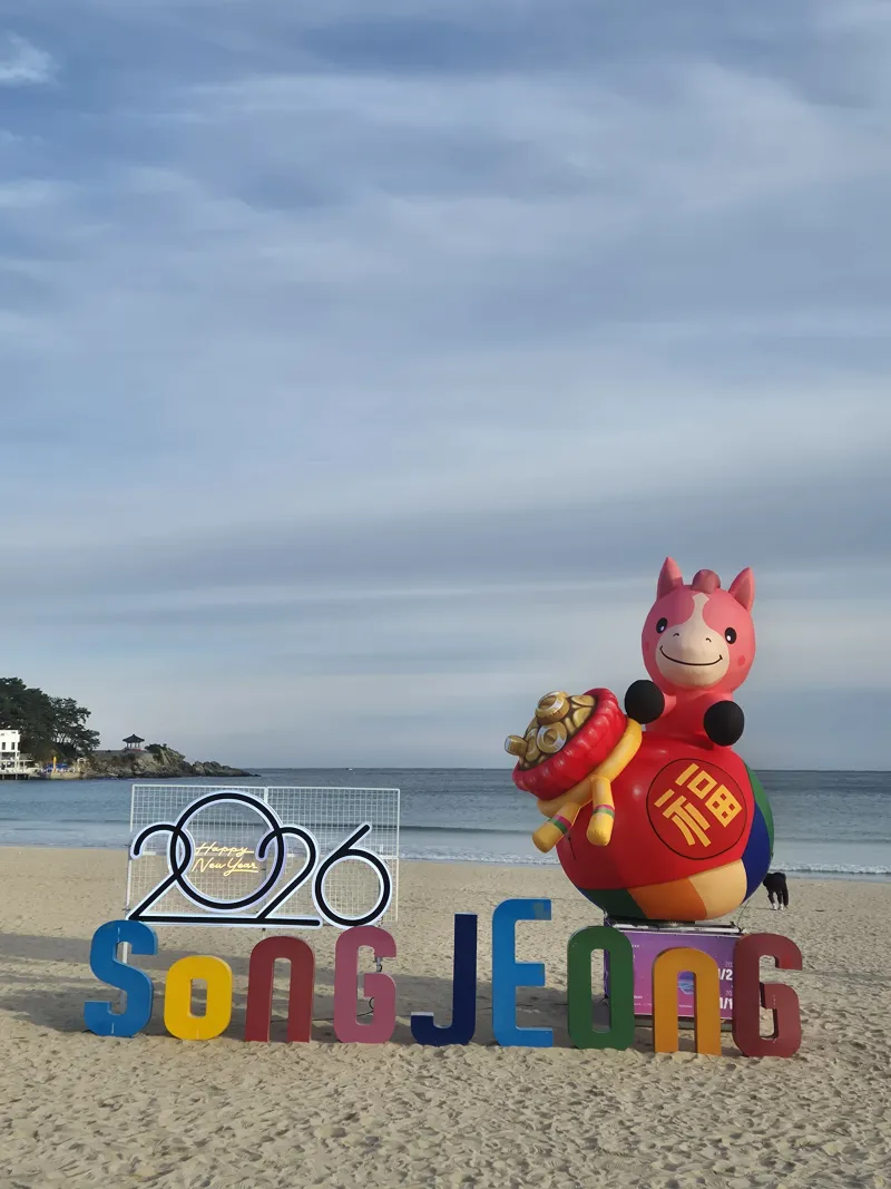 [Haeundae, Busan] Songjeong Beach Ocean View ♡ A great place to live for a month 22