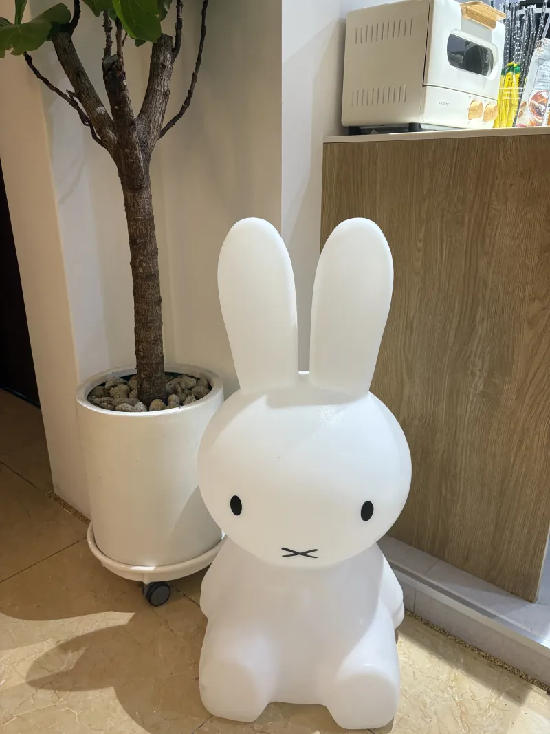 [Gangbuk, Seoul] Remodeled Mia, Premium Stay #203 near Suyu Station 8